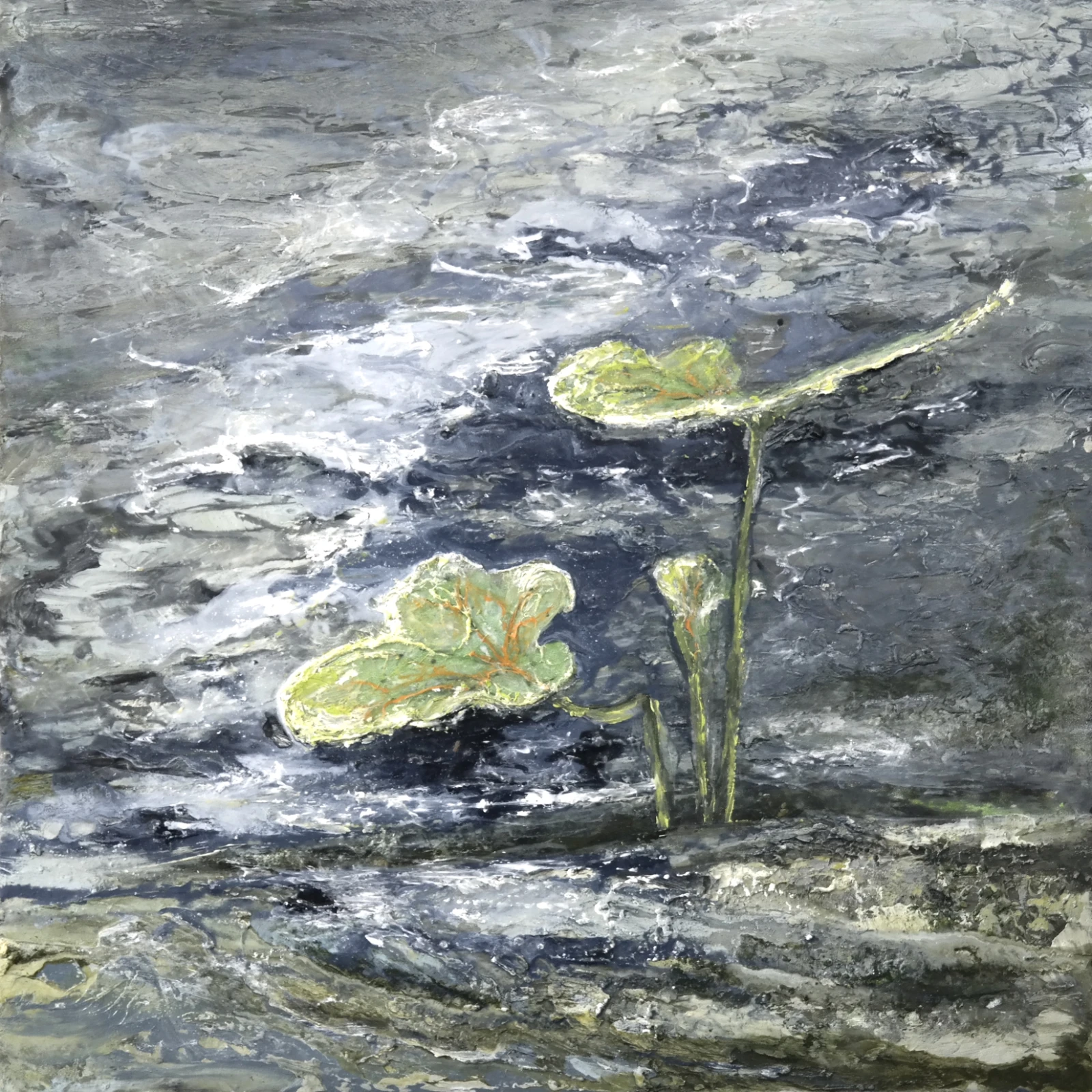New life 2 door Astrid Stoffels