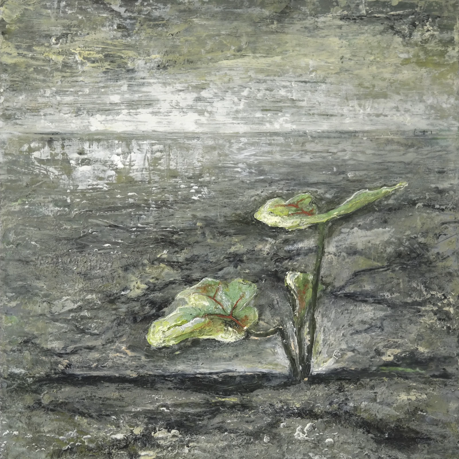 New life 1 by Astrid Stoffels