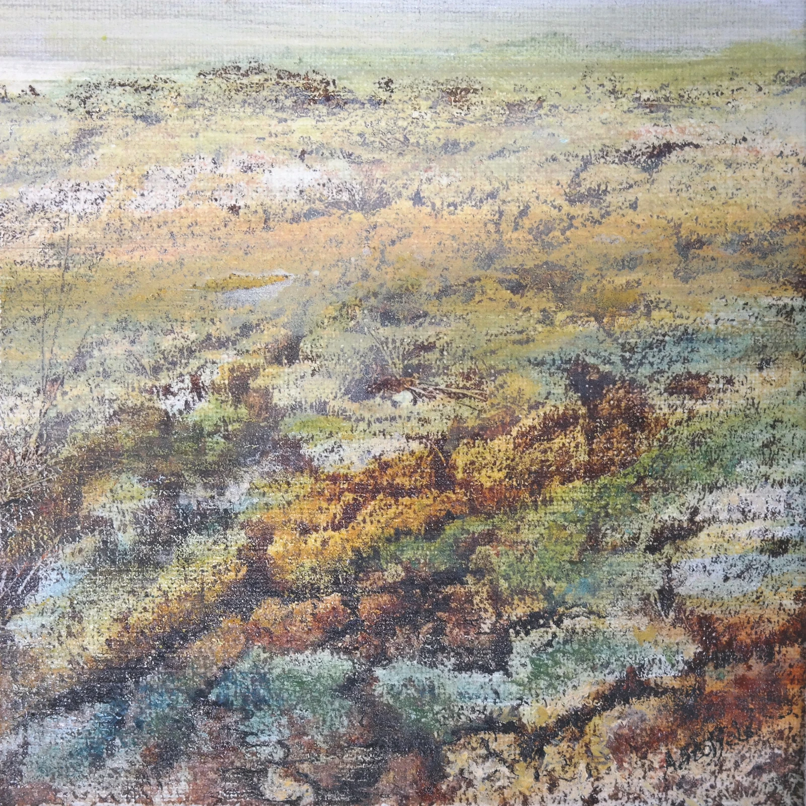Beauty of fragile nature 5 door Astrid Stoffels