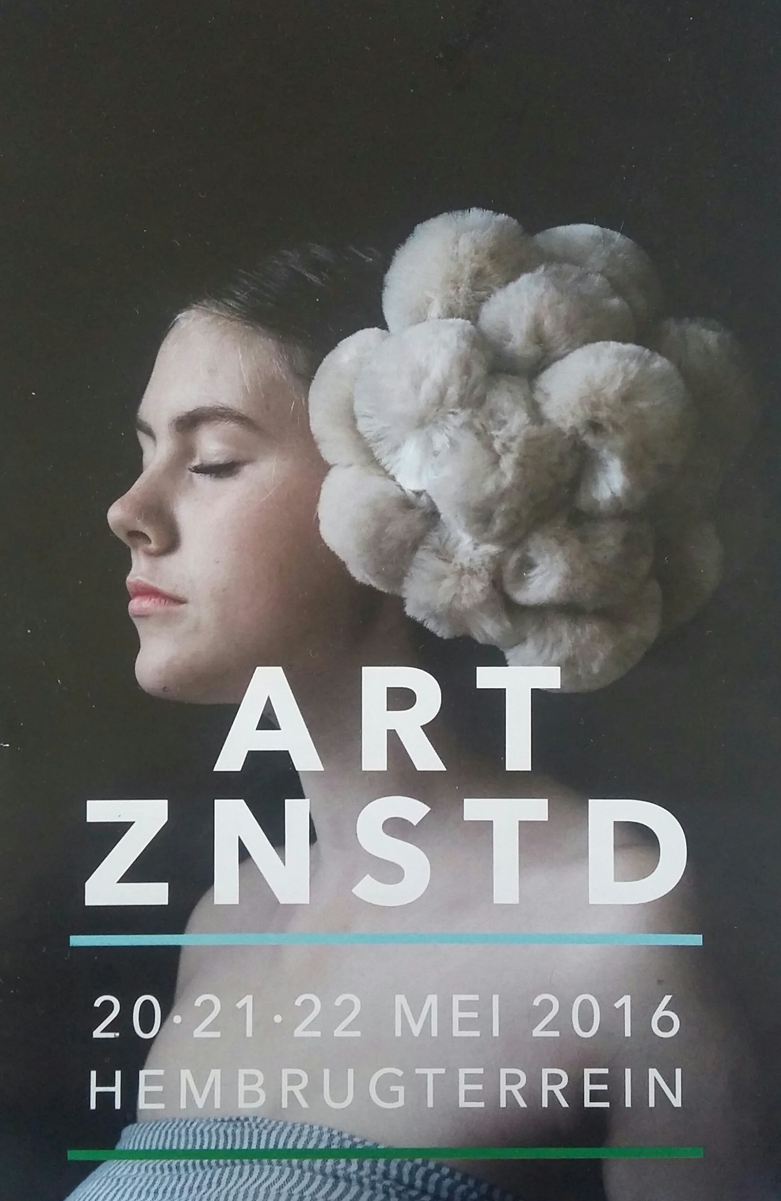 Art Zaanstad
