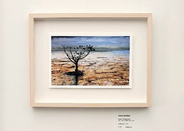 KlimaatExpo’22, Museum de Fundatie